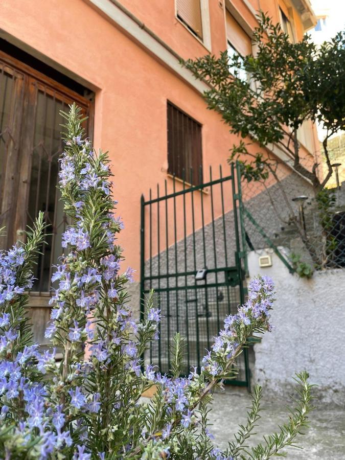 Blue Moon Riomaggiore Casa Vacanze Ngoại thất bức ảnh